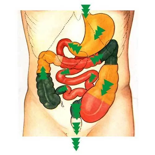Virechana Treatment (विरेचन कर्म) image 1