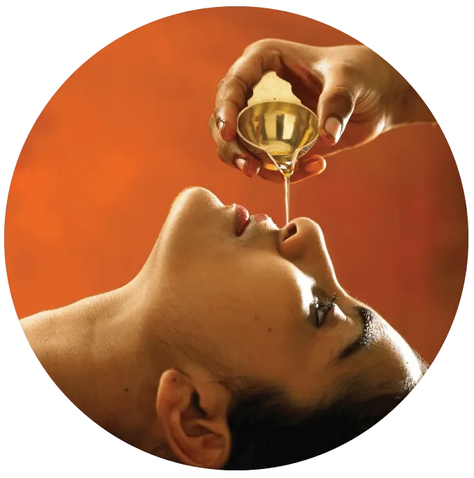 Nasya Treatment (नस्य कर्म) image 1