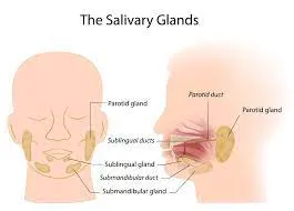 Salivary Gland Surgeries image 1