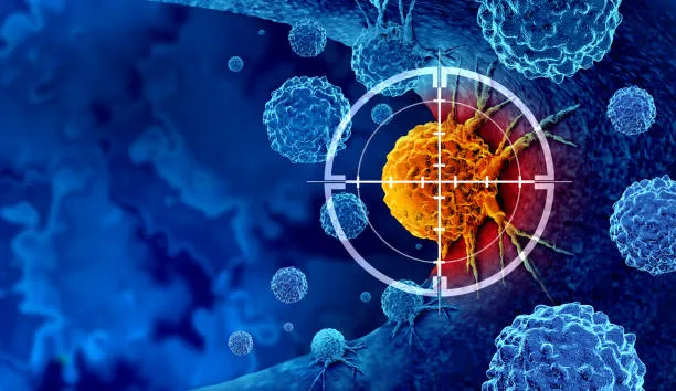 Skin Cancers image 1