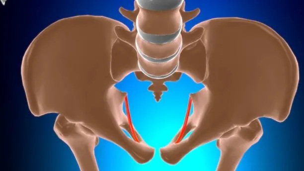 Pelvic Resection image 1