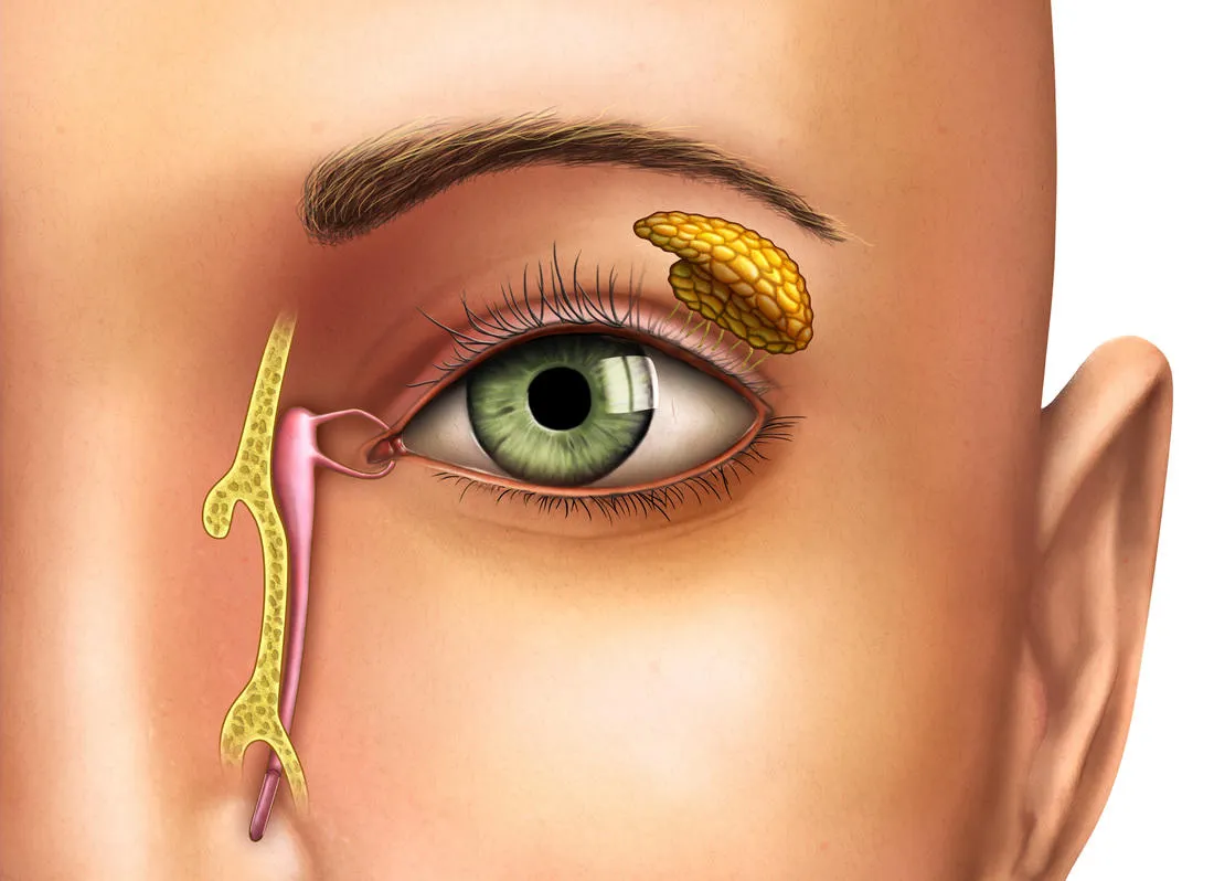 Endoscopic DCR Clinic in Pimple Saudagar,PCMC image 1