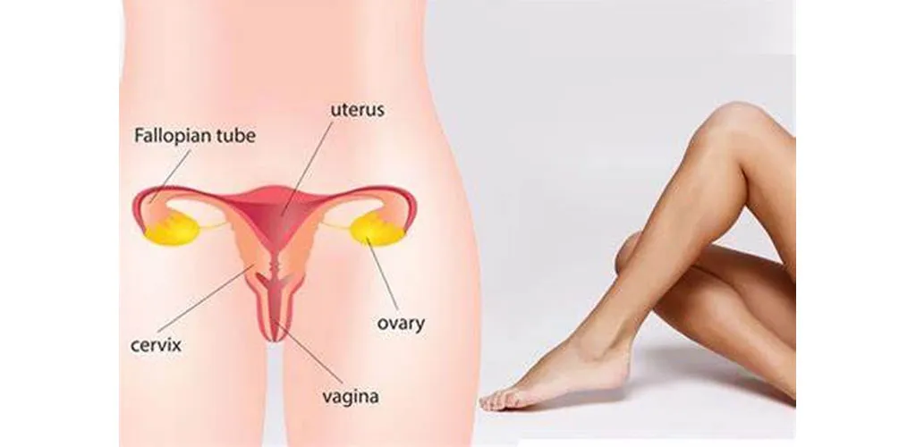 VAGINAL SURGERIES image 1
