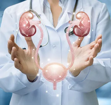 Urologist and Andrologist image 1