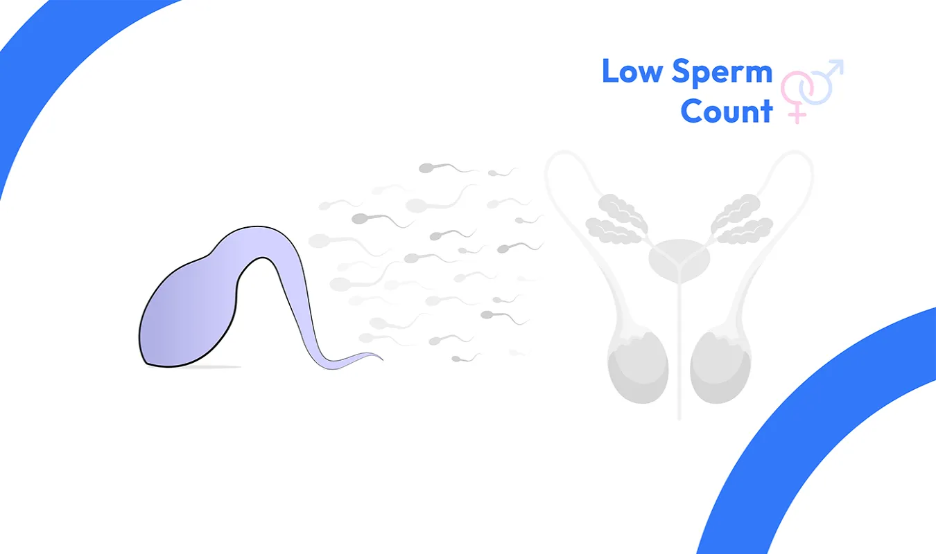 Low Sperm Count image 1