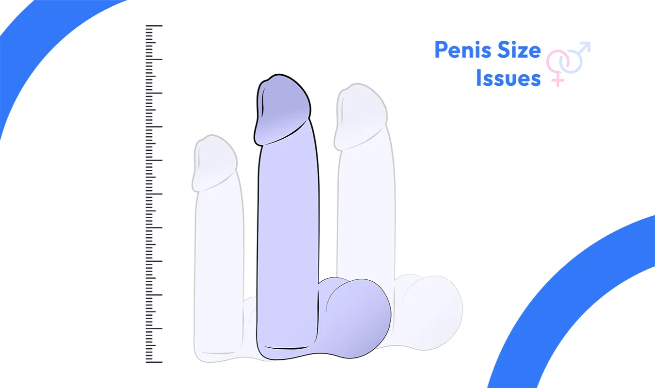 Penis Size Issues image 1