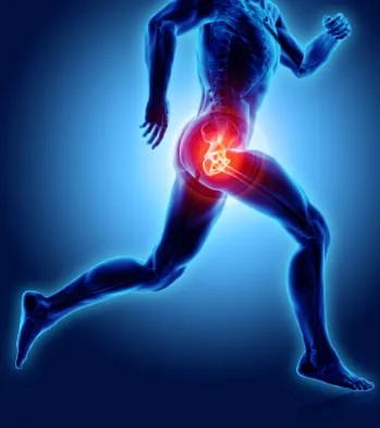 Hip & Pelvis Treatment  image 1