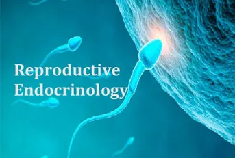 Reproductive Endocrinology image 1