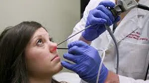 Nasal Endoscopy image 1