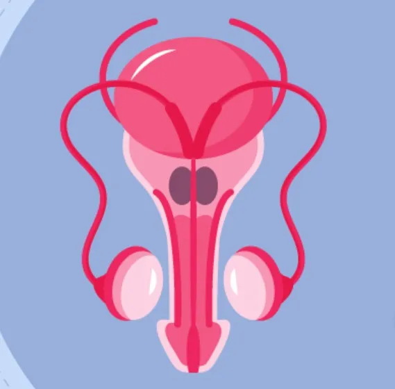 Microscopic Surgeries image 1