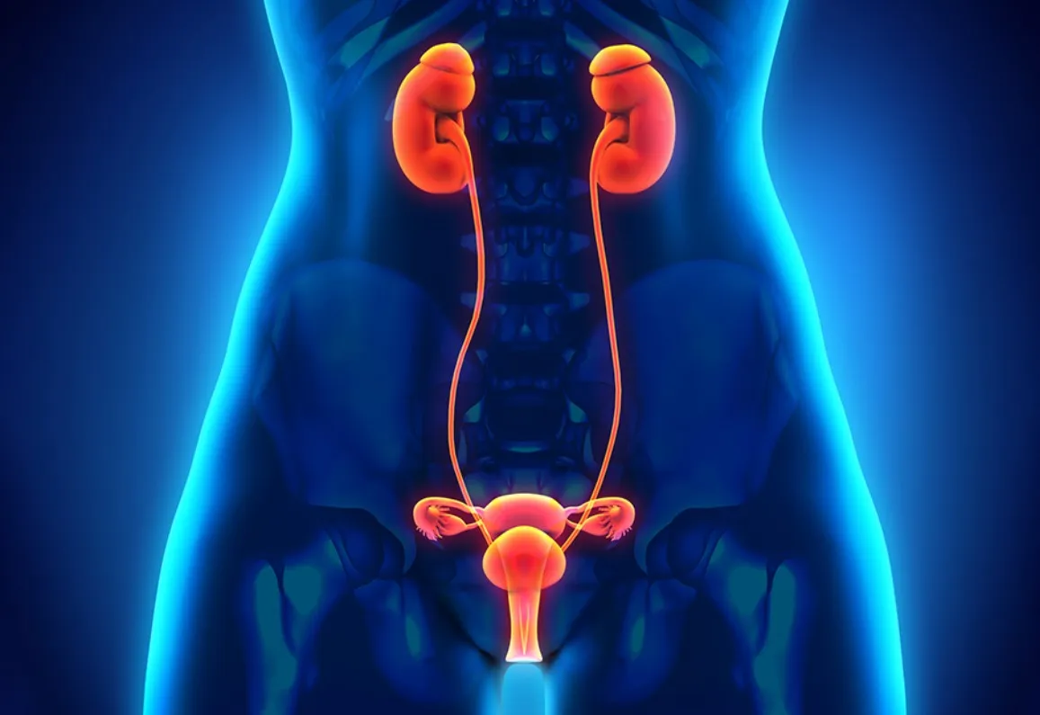 Stricture Urethra image 1