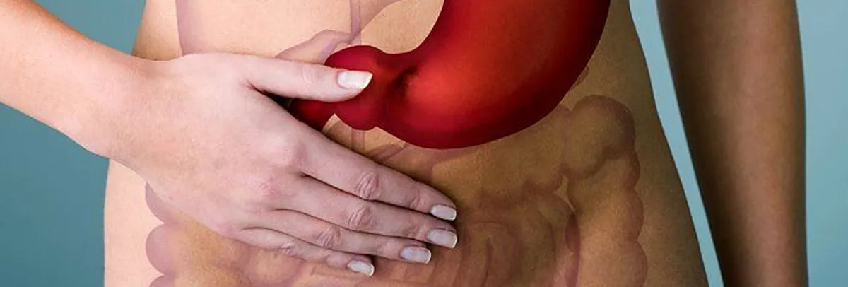 Appendix image 1