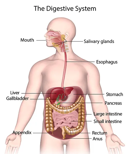 GI Surgeries image 1