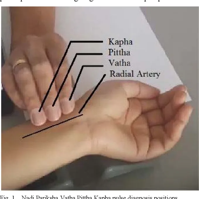 Naadi Pariksha Ayurveda image 1
