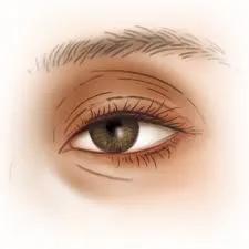 EYE PAP image 1