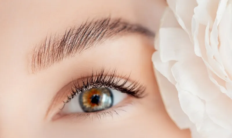 EYEBROW MICROBLADING image 1