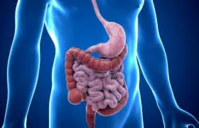 Gastrology image 1