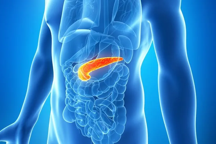 PANCREAS AND SPLEEN TREATMENT image 1