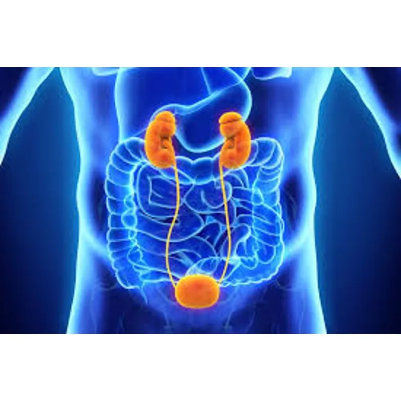 BLADDER SURGERY image 1