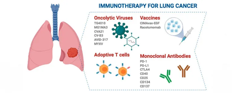 Immunotherapy image 1