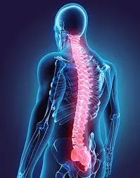 Spine Condition image 1