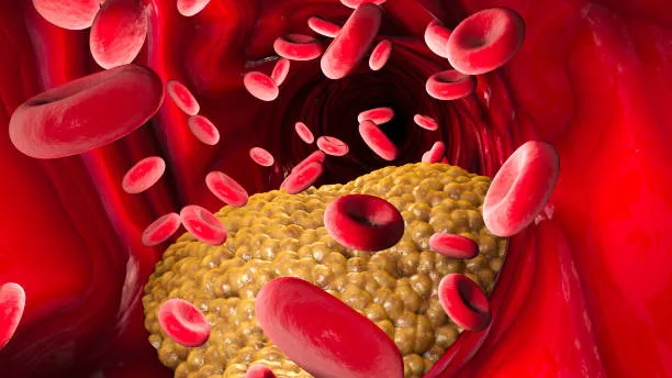 TRIGLYCERIDES image 1