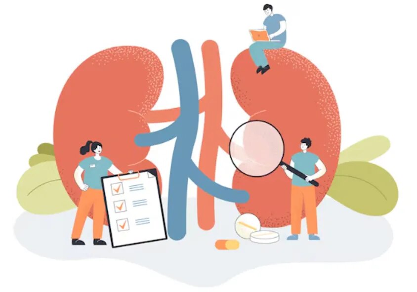 Nephrology image 1