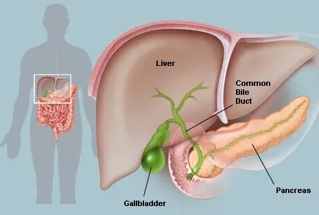 Gallbladder Surgeon in Viman Nagar, Kharadi, Vishrantwadi, Pune image 1