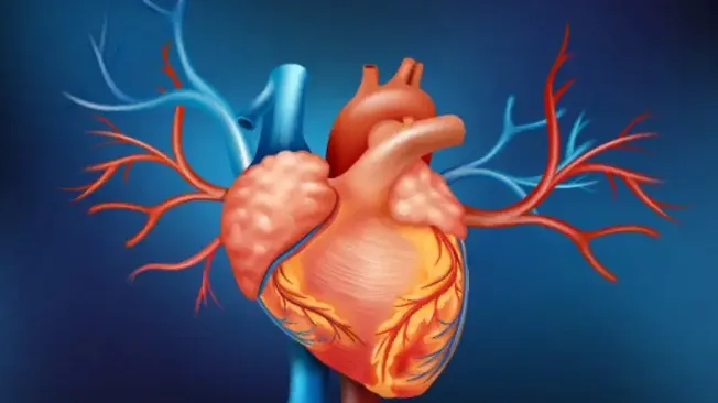 Aortic Valve Replacement Hospital in PCMC,Pune image 1