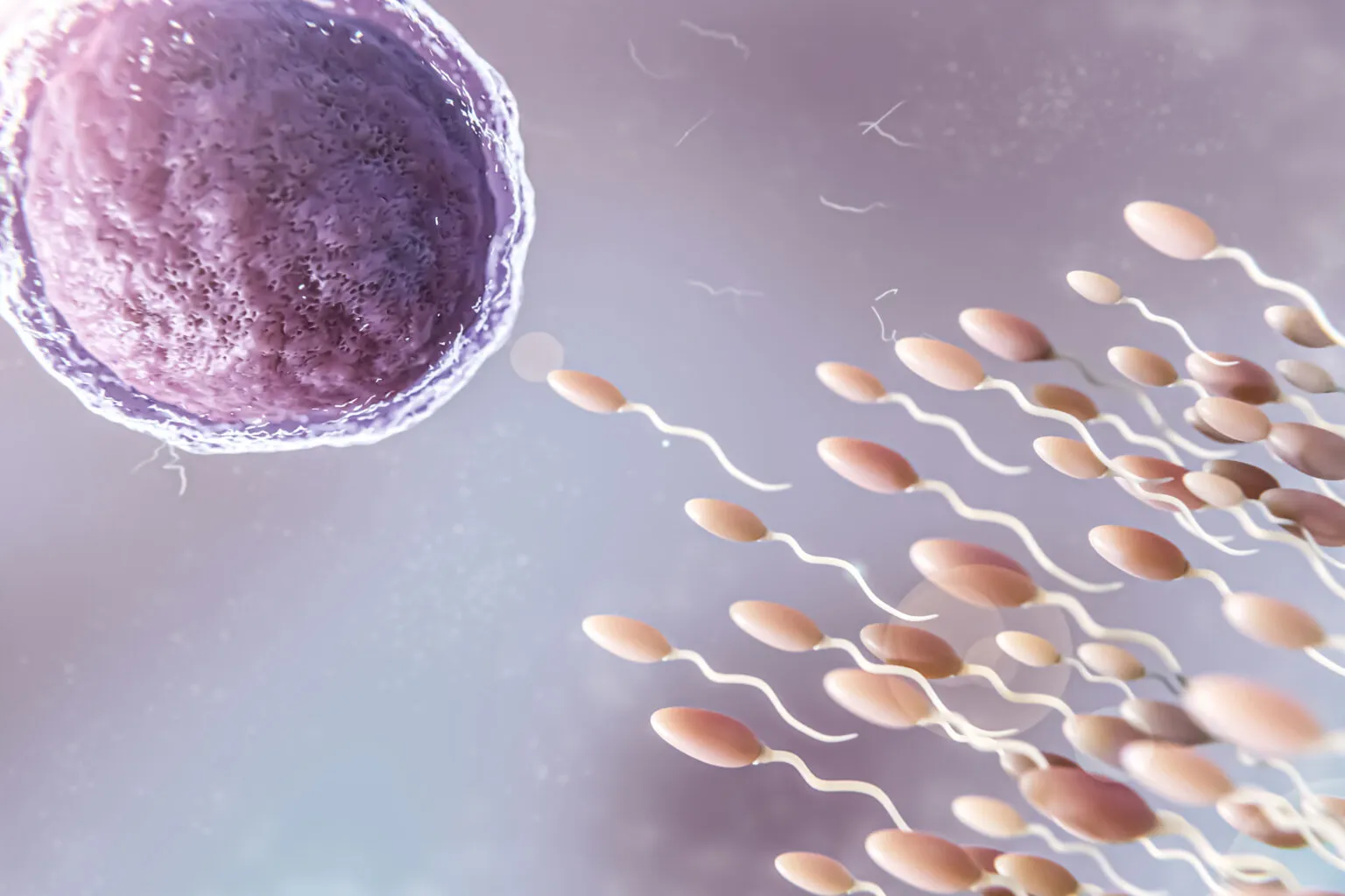 Infertility Specialist in Wakad,Hinjewadi,Pune image 1