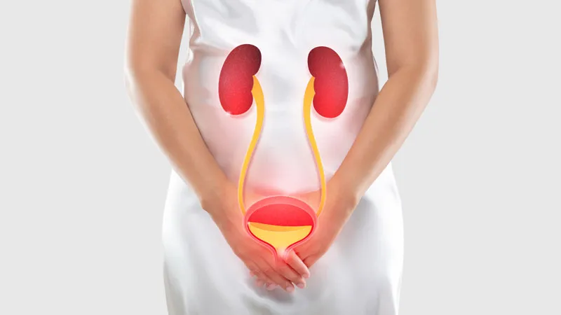 Urinary Tract Infection Treatment in Wakad,Hinjewadi,Pune image 1