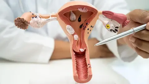 Gynecological cancer screening and vaccinations services image 1