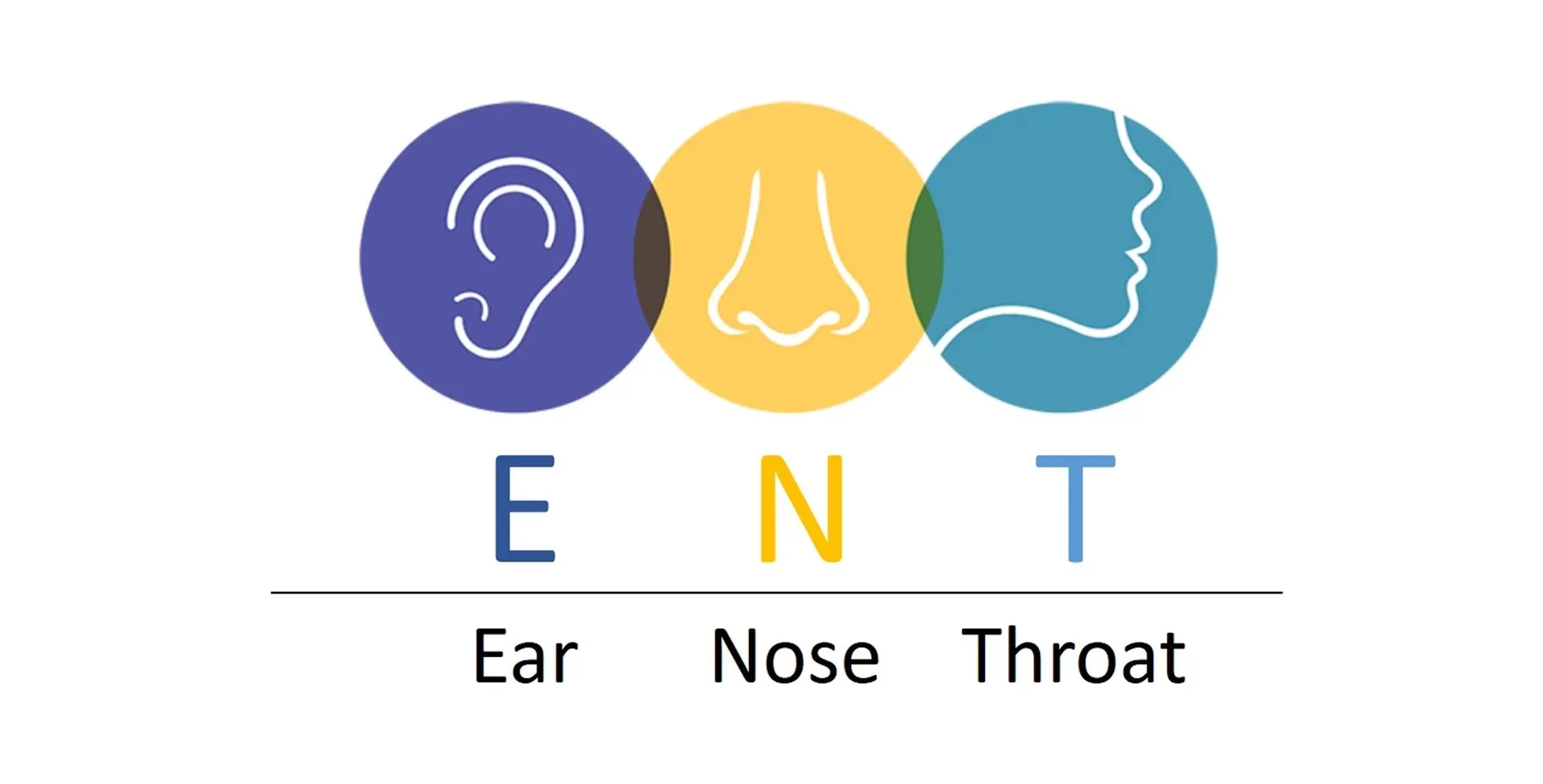 Family Medicine  image 1