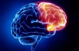 Neurology and Neurosurgery image 1