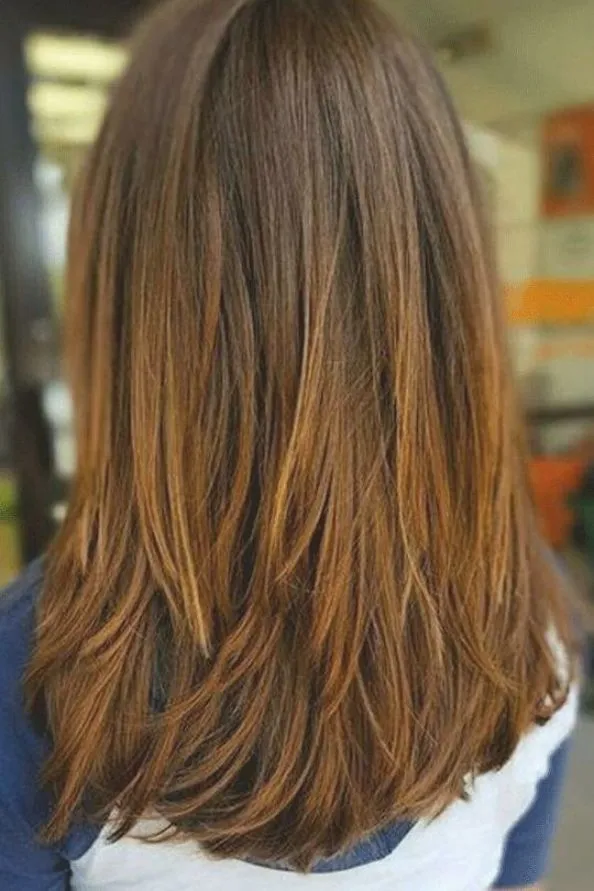 Natural Straight Brown Shoulder-Length Human Hair Lace Front Wigs image 1