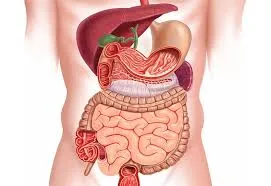 GASTROENTEROLOGY image 1
