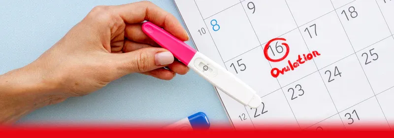 Ovulation tracking image 1