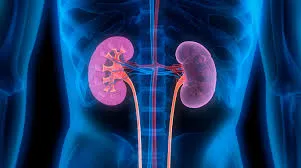 Nephrology image 1