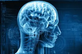 Neurology image 1