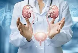 Urology image 1