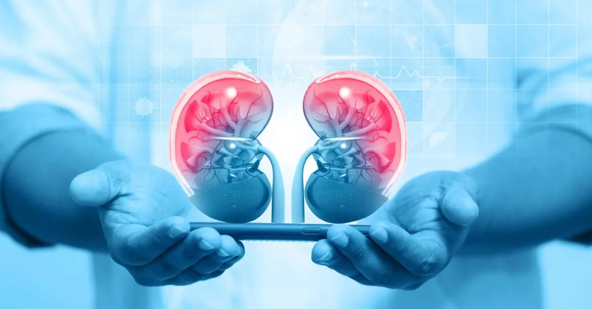 Best Nephrologist/Nephrology Hospital in Pune and PCMC  image 1