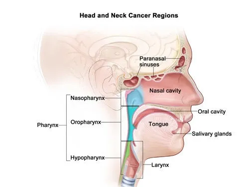 Best Head and Neck Malignancy Management Specialist in Bavdhan, Pune image 1