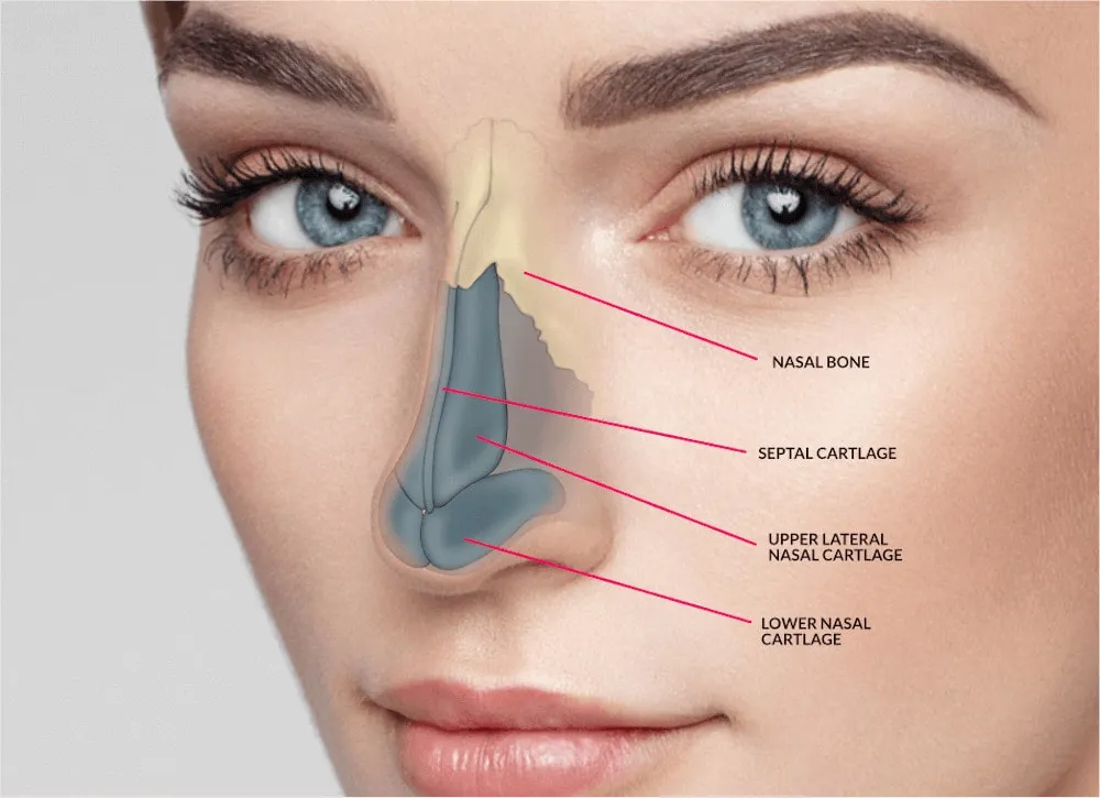 Best Rhinoplasty Surgeon in Bavdhan, Kothrud,Warje, Pashan, Pune  image 1