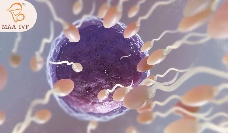 INTRA UTERINE INSEMINATION (IUI) image 2