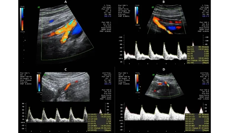 SONOGRAPHY SERVICES image 2