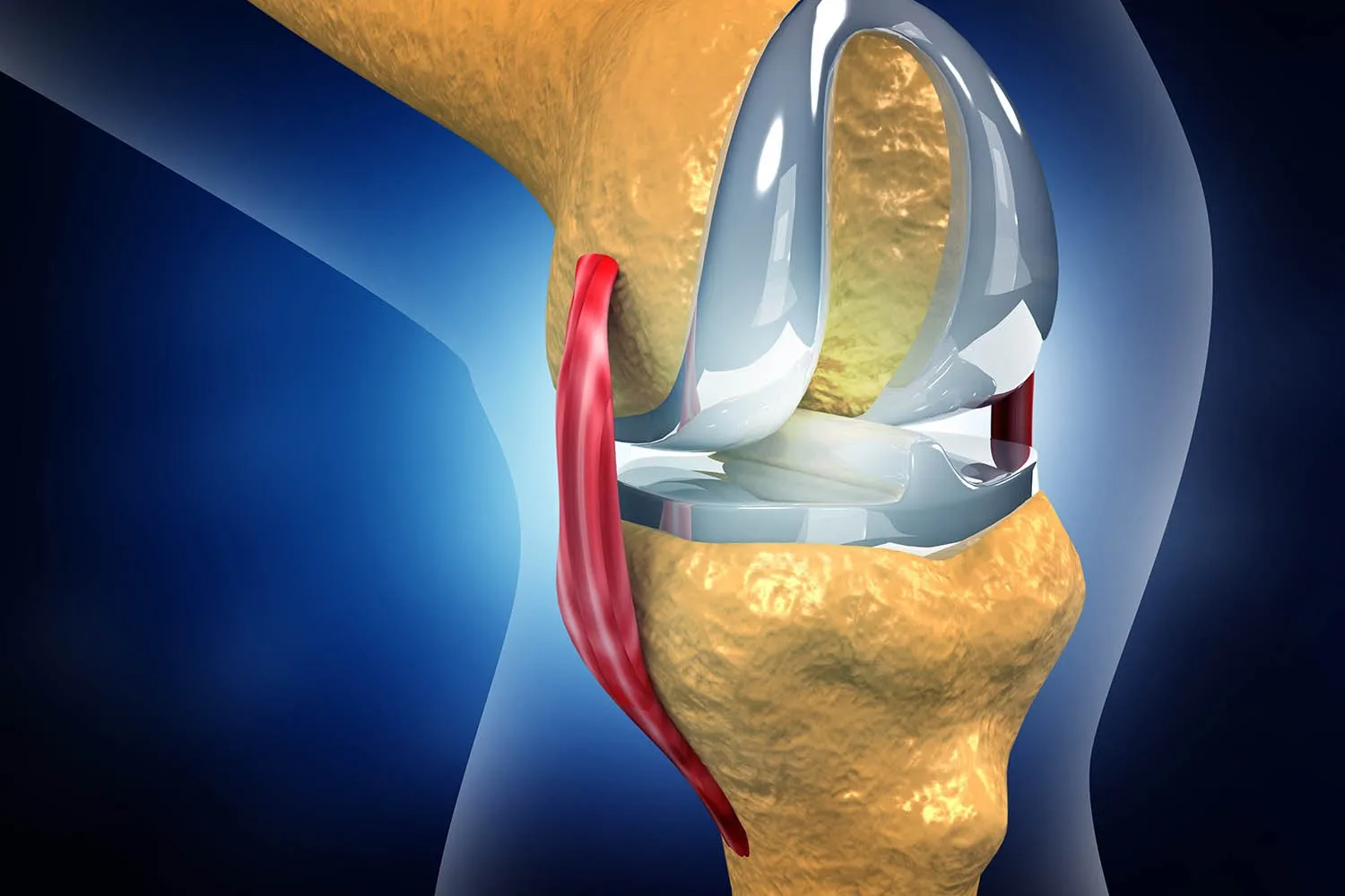 Best Joint/Knee Replacement Surgery Hospital in Bibwewadi, Dhankawadi, Market Yard, Kondhwa, Pune image 1