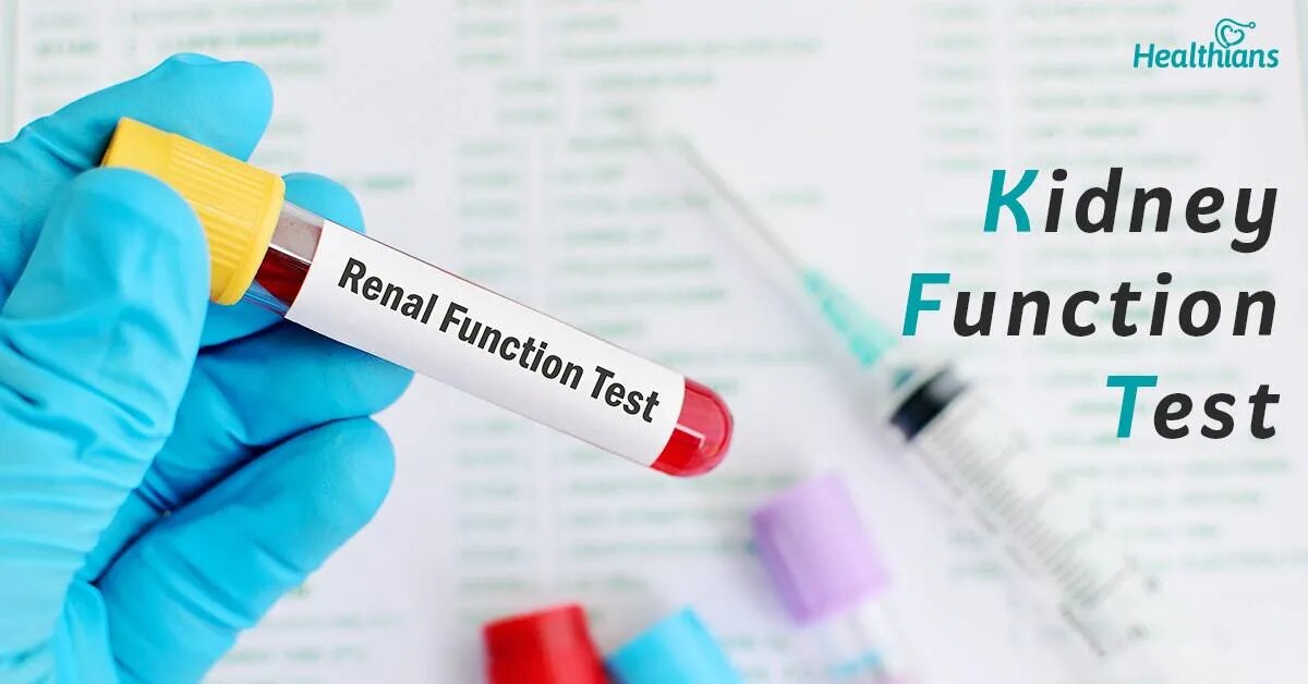 Kidney Function Test (KFT) image 2