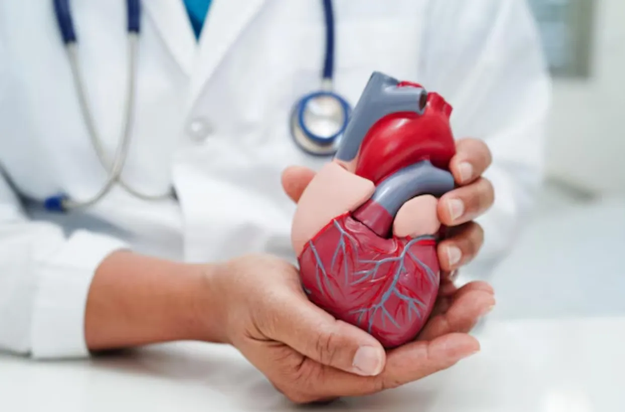 Preventive & Lifestyle Cardiology image 1