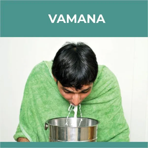 Vaman  image 1
