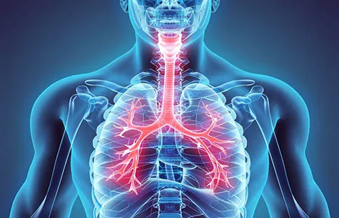 Respiratory Medicine image 1